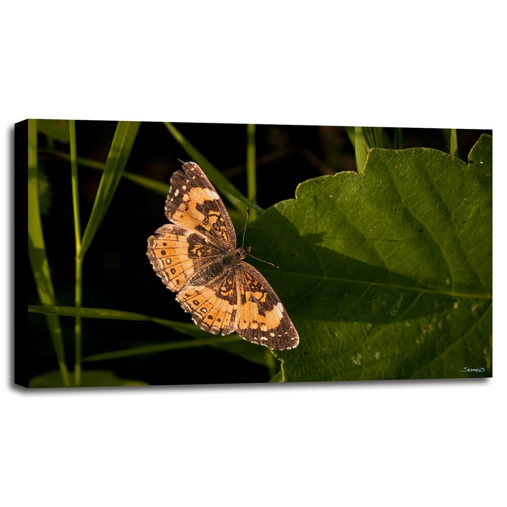 Summer 2012 #211-GORSEM110736 Print 7.5"x12" by Gordon Semmens