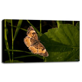 Summer 2012 #211-GORSEM110736 Print 7.5"x12" by Gordon Semmens