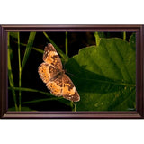 Summer 2012 #211-GORSEM110736 Print 7.5"x12" by Gordon Semmens