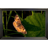 Summer 2012 #211-GORSEM110736 Print 7.5"x12" by Gordon Semmens