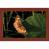 Summer 2012 #211-GORSEM110736 Print 7.5"x12" by Gordon Semmens
