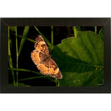 Summer 2012 #211-GORSEM110736 Print 7.5"x12" by Gordon Semmens