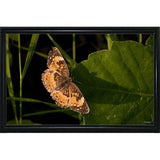 Summer 2012 #211-GORSEM110736 Print 7.5"x12" by Gordon Semmens