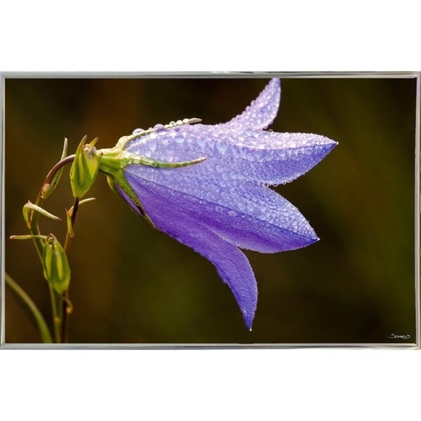 Summer 2012 #574-GORSEM110743 Print 8.25"x12.75" by Gordon Semmens