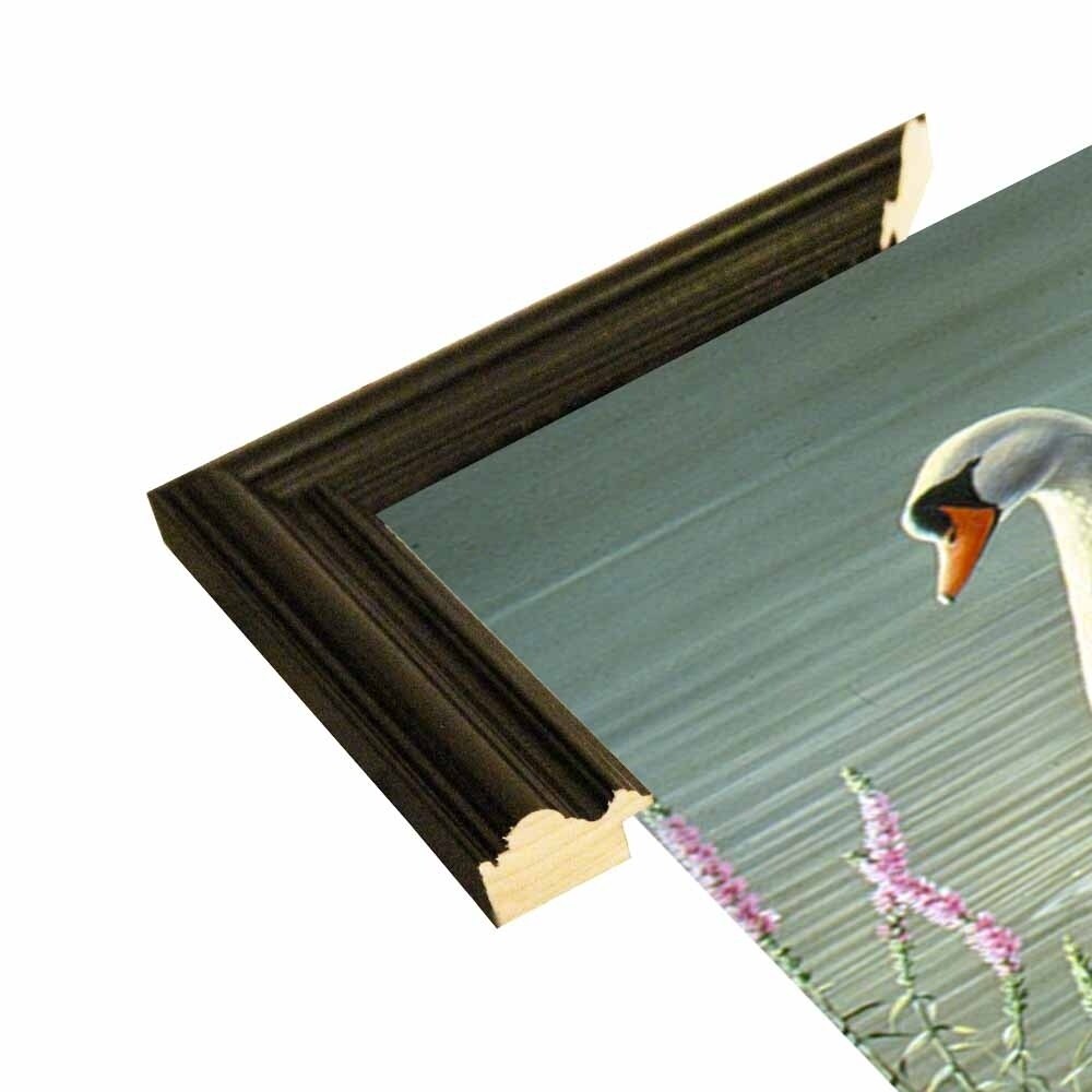 Summer Idyll - Mute Swan-WILGOE2746 Framed Print 23.75"x36.5" by Wilhelm Goebel