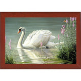 Summer Idyll - Mute Swan-WILGOE2746 Framed Print 23.75"x36.5" by Wilhelm Goebel