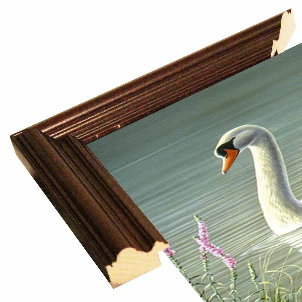 Summer Idyll - Mute Swan-WILGOE2746 Framed Print 23.75"x36.5" by Wilhelm Goebel