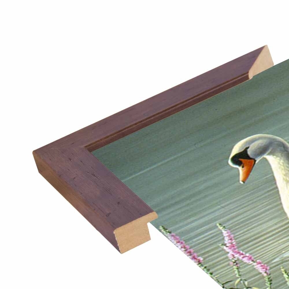 Summer Idyll - Mute Swan-WILGOE2746 Framed Print 23.75"x36.5" by Wilhelm Goebel