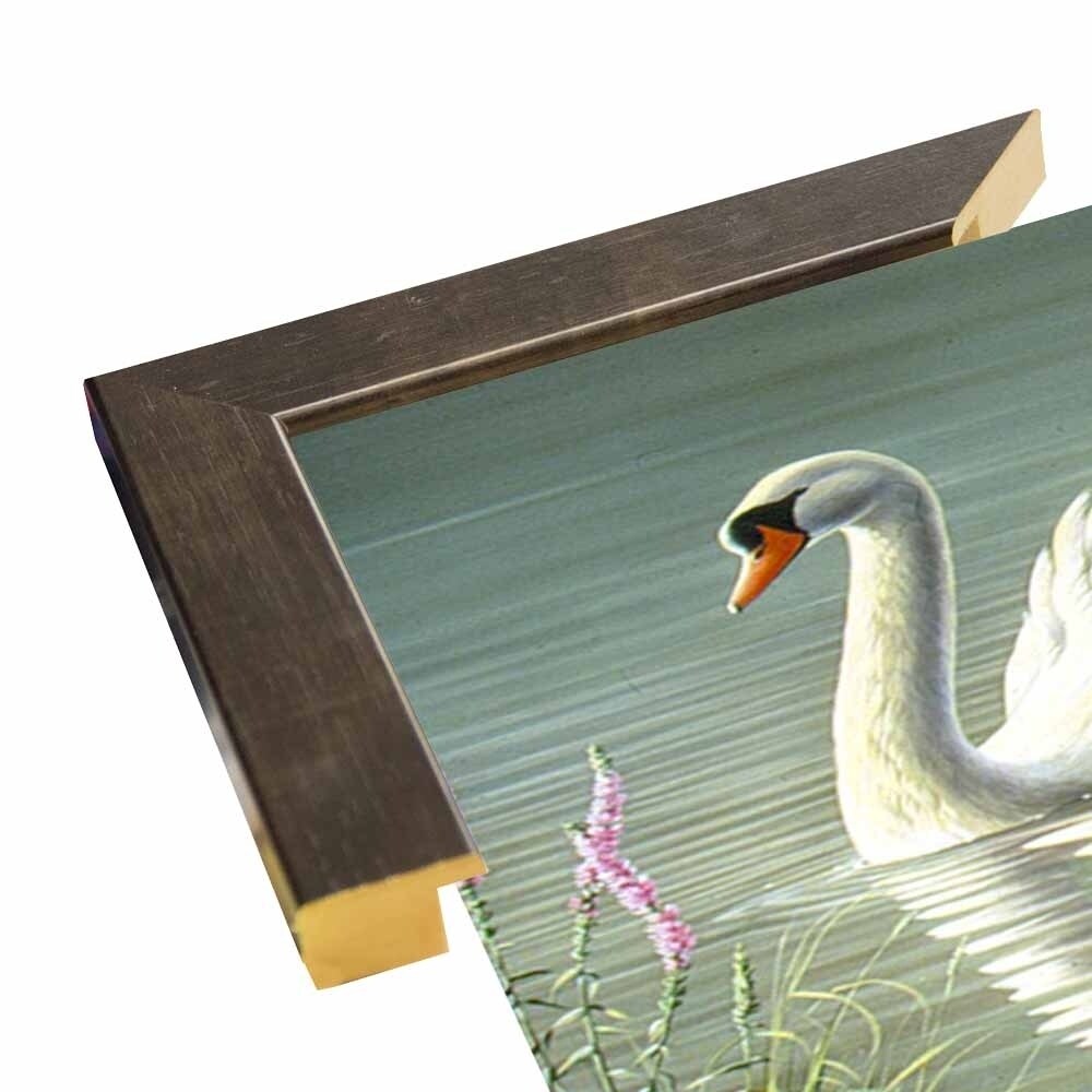 Summer Idyll - Mute Swan-WILGOE2746 Framed Print 23.75"x36.5" by Wilhelm Goebel