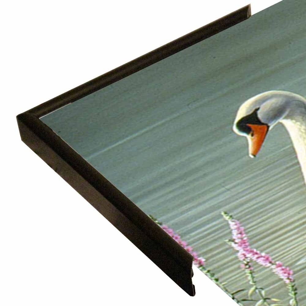 Summer Idyll - Mute Swan-WILGOE2746 Framed Print 23.75"x36.5" by Wilhelm Goebel