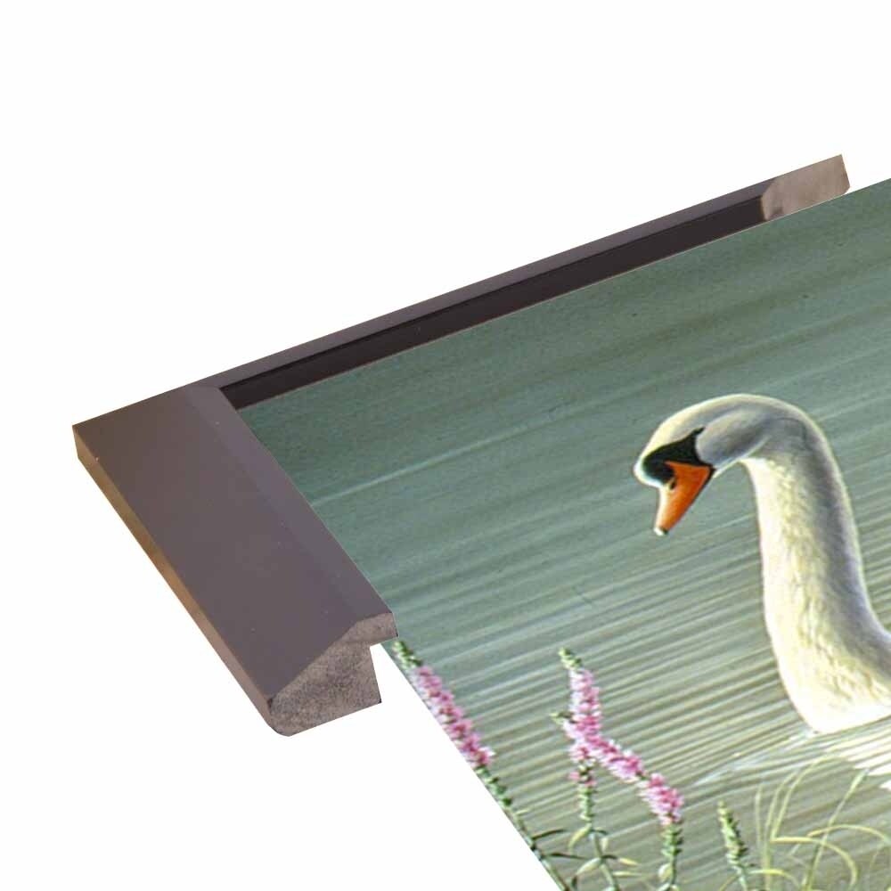 Summer Idyll - Mute Swan-WILGOE2746 Framed Print 23.75"x36.5" by Wilhelm Goebel