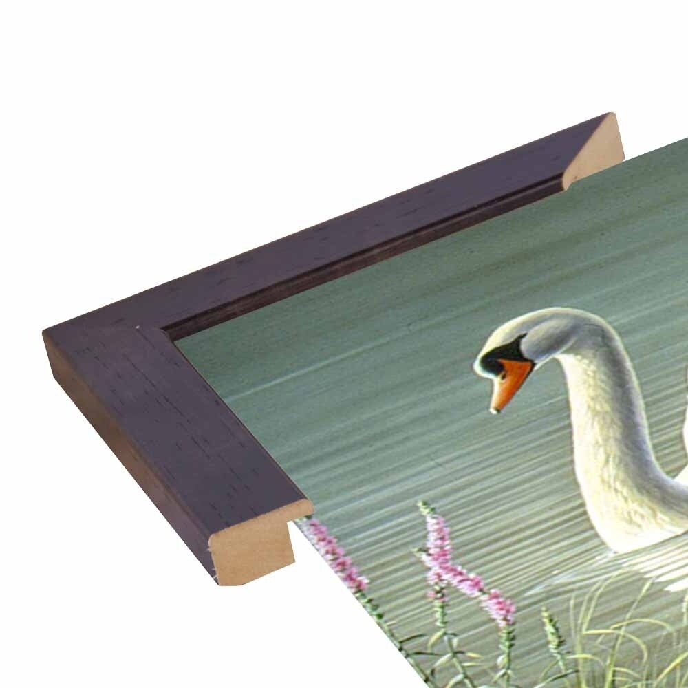 Summer Idyll - Mute Swan-WILGOE2746 Framed Print 23.75"x36.5" by Wilhelm Goebel