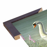 Summer Idyll - Mute Swan-WILGOE2746 Framed Print 23.75"x36.5" by Wilhelm Goebel