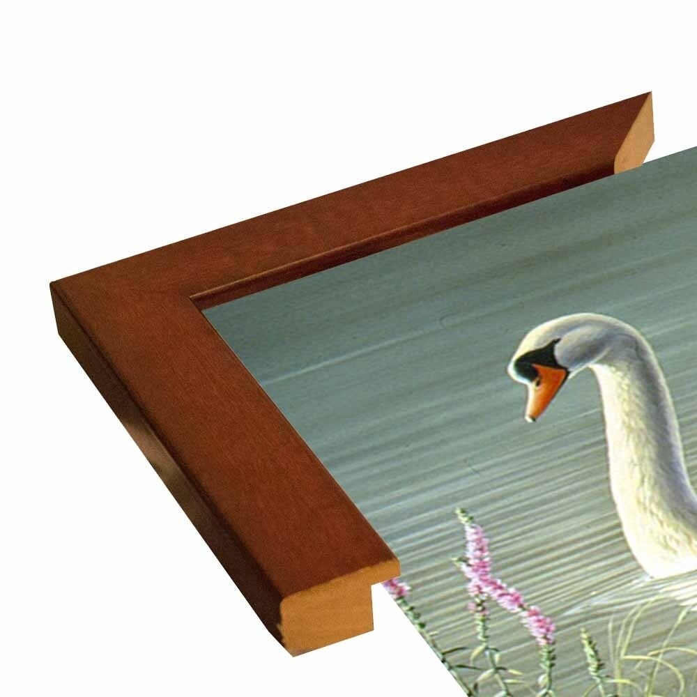 Summer Idyll - Mute Swan-WILGOE2746 Framed Print 23.75"x36.5" by Wilhelm Goebel