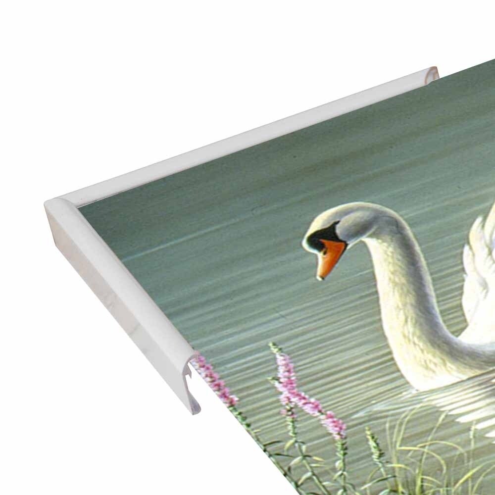 Summer Idyll - Mute Swan-WILGOE2746 Framed Print 23.75"x36.5" by Wilhelm Goebel