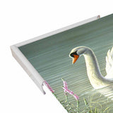 Summer Idyll - Mute Swan-WILGOE2746 Framed Print 23.75"x36.5" by Wilhelm Goebel