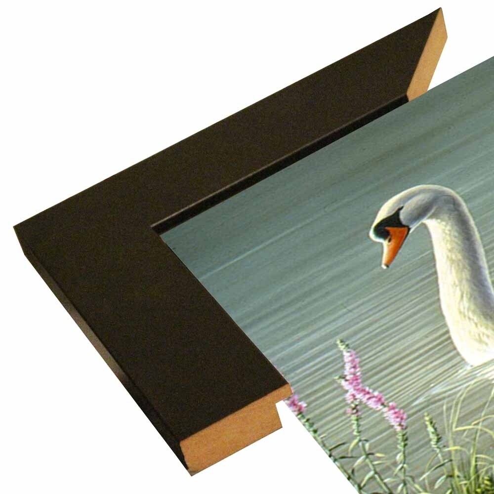 Summer Idyll - Mute Swan-WILGOE2746 Framed Print 23.75"x36.5" by Wilhelm Goebel