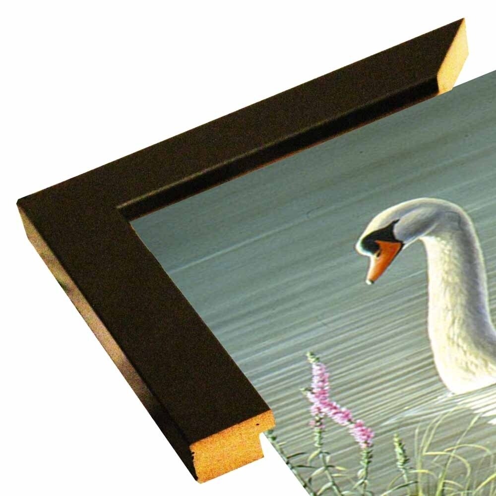 Summer Idyll - Mute Swan-WILGOE2746 Framed Print 23.75"x36.5" by Wilhelm Goebel