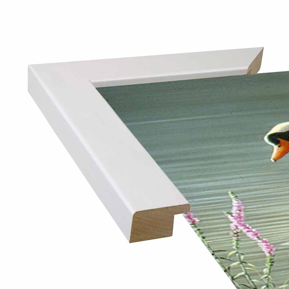 Summer Idyll - Mute Swan-WILGOE2746 Framed Print 23.75"x36.5" by Wilhelm Goebel