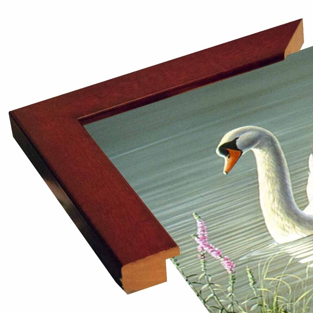 Summer Idyll - Mute Swan-WILGOE2746 Framed Print 23.75"x36.5" by Wilhelm Goebel