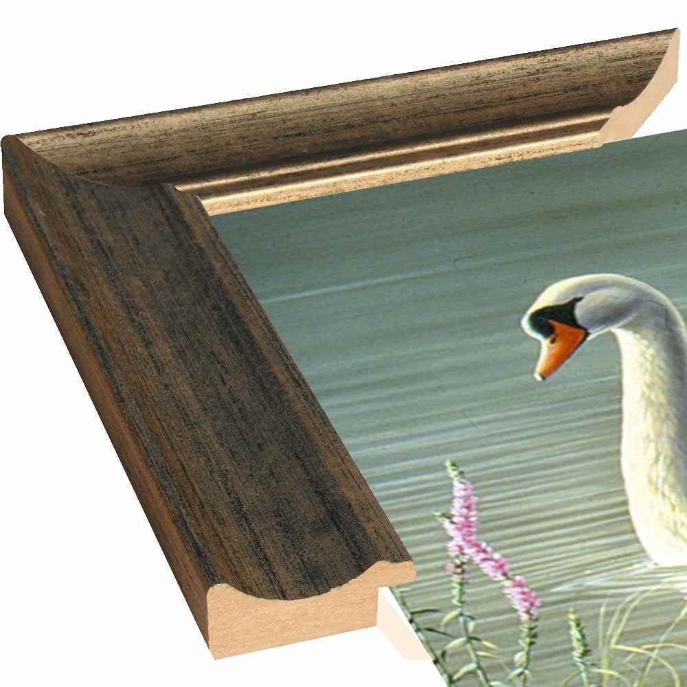 Summer Idyll - Mute Swan-WILGOE2746 Framed Print 23.75"x36.5" by Wilhelm Goebel