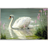 Summer Idyll - Mute Swan-WILGOE2746 Framed Print 23.75"x36.5" by Wilhelm Goebel