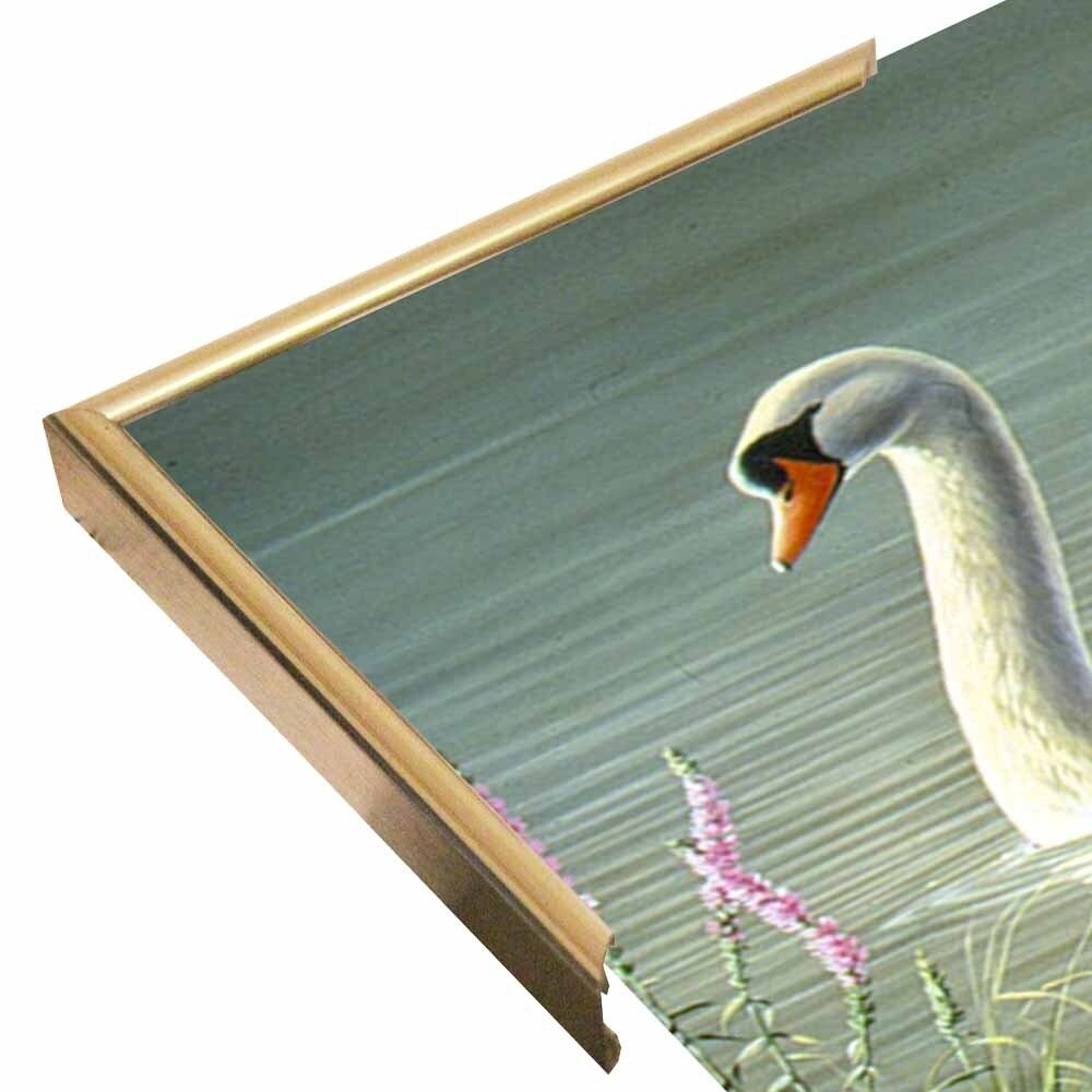 Summer Idyll - Mute Swan-WILGOE2746 Framed Print 23.75"x36.5" by Wilhelm Goebel