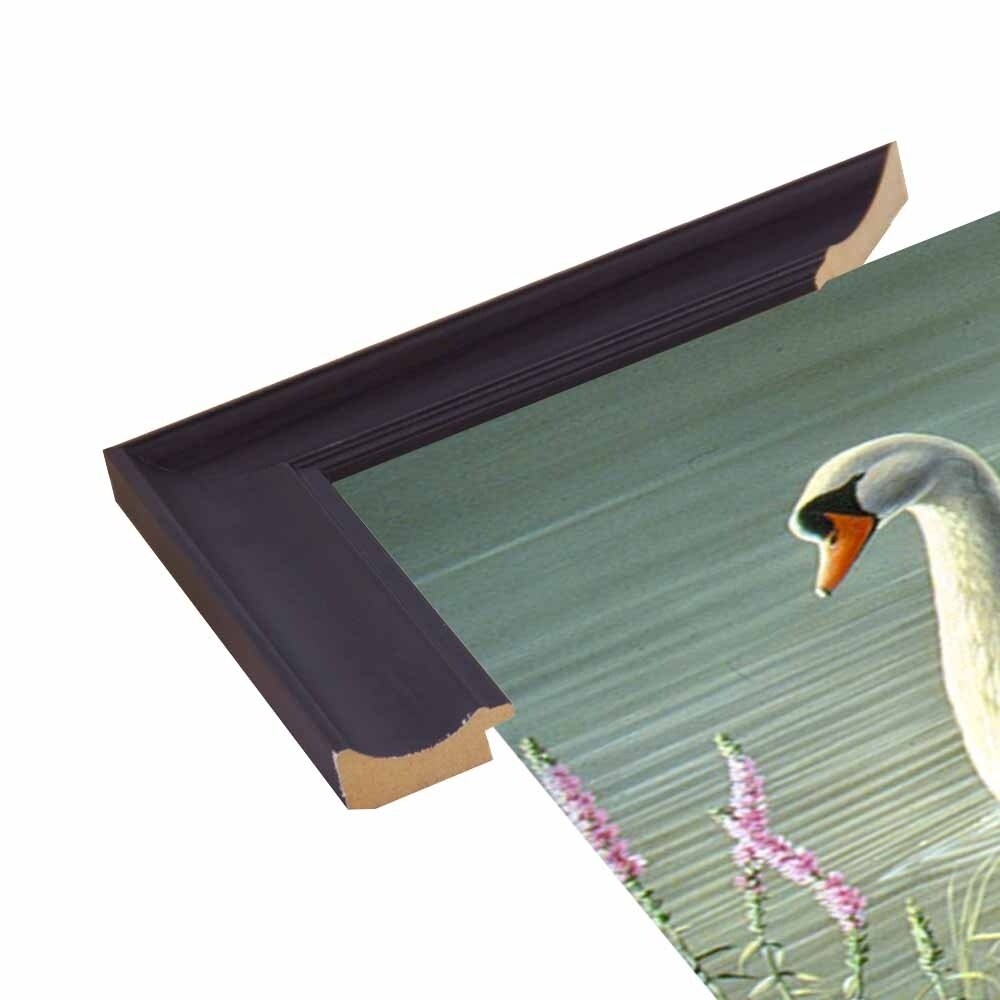 Summer Idyll - Mute Swan-WILGOE2746 Framed Print 23.75"x36.5" by Wilhelm Goebel