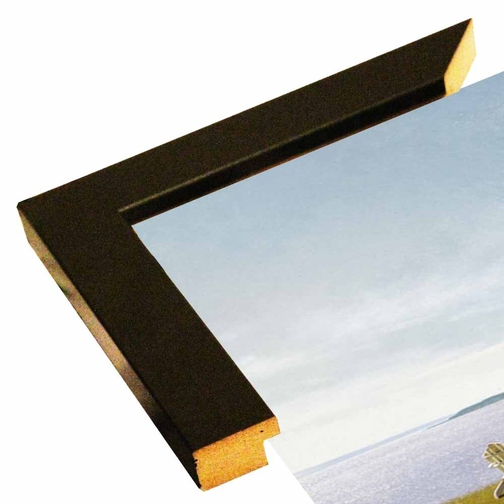Summer Retreat-ZHELU49393 Framed Print 12"x20.25" by Zhen-Huan Lu