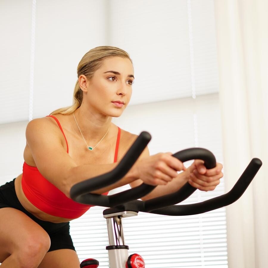 Sunny Health Fitness SF B1509 Belt Drive Premium Indoor Cycling Bike Overstock