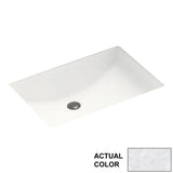 Swan 22-in W x 16-in D x 6.25-in H Solid Surface Undermount Bathroom Sink