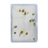 Swan Creek Drizzle Melt Floral Story - 1x4x6