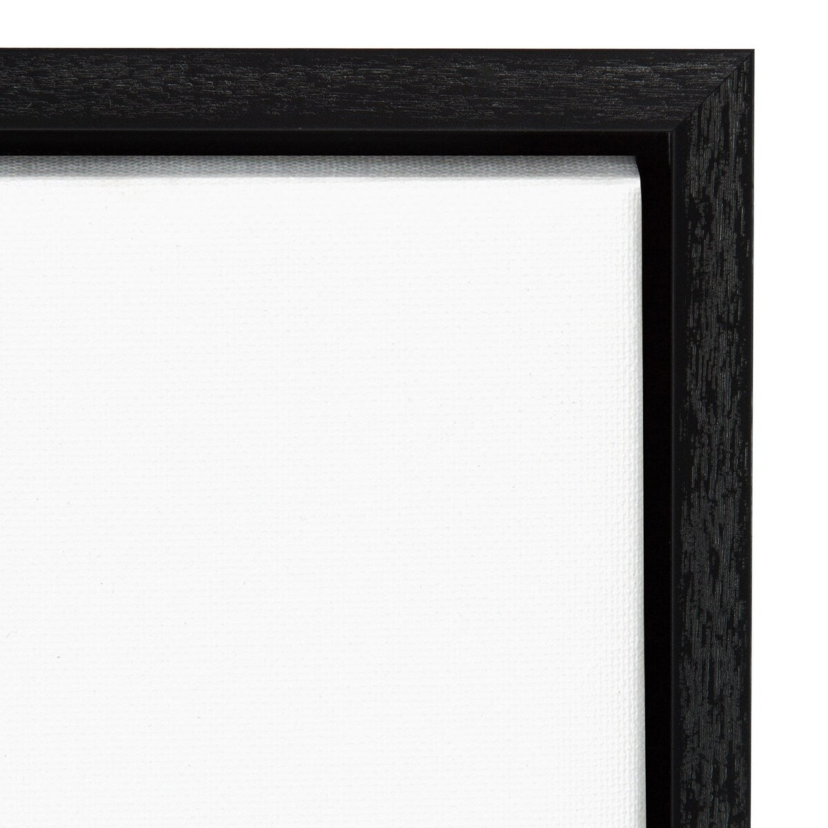 Swash II by Chris Paschke Framed Canvas Wall Art Print