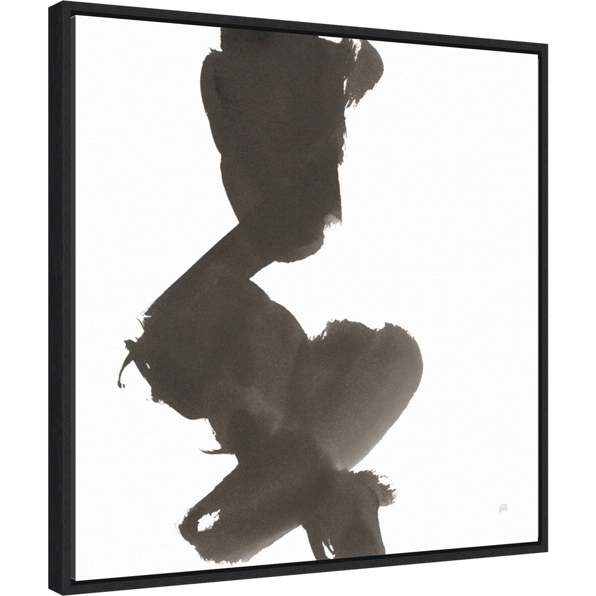 Swash II by Chris Paschke Framed Canvas Wall Art Print