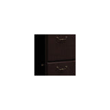 Syndicate Collection 60W Double Pedestal Desk in Mocha Cherry