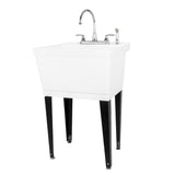 TEHILA Utility Sink Laundry Tub with Gooseneck Faucet and Side Sprayer