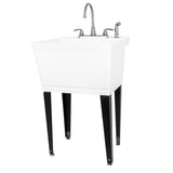 TEHILA Utility Sink Laundry Tub with Gooseneck Faucet and Side Sprayer