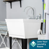 TEHILA Utility Sink Laundry Tub with Gooseneck Faucet and Side Sprayer