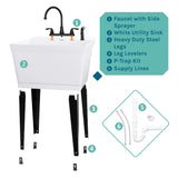TEHILA Utility Sink Laundry Tub with Gooseneck Faucet and Side Sprayer