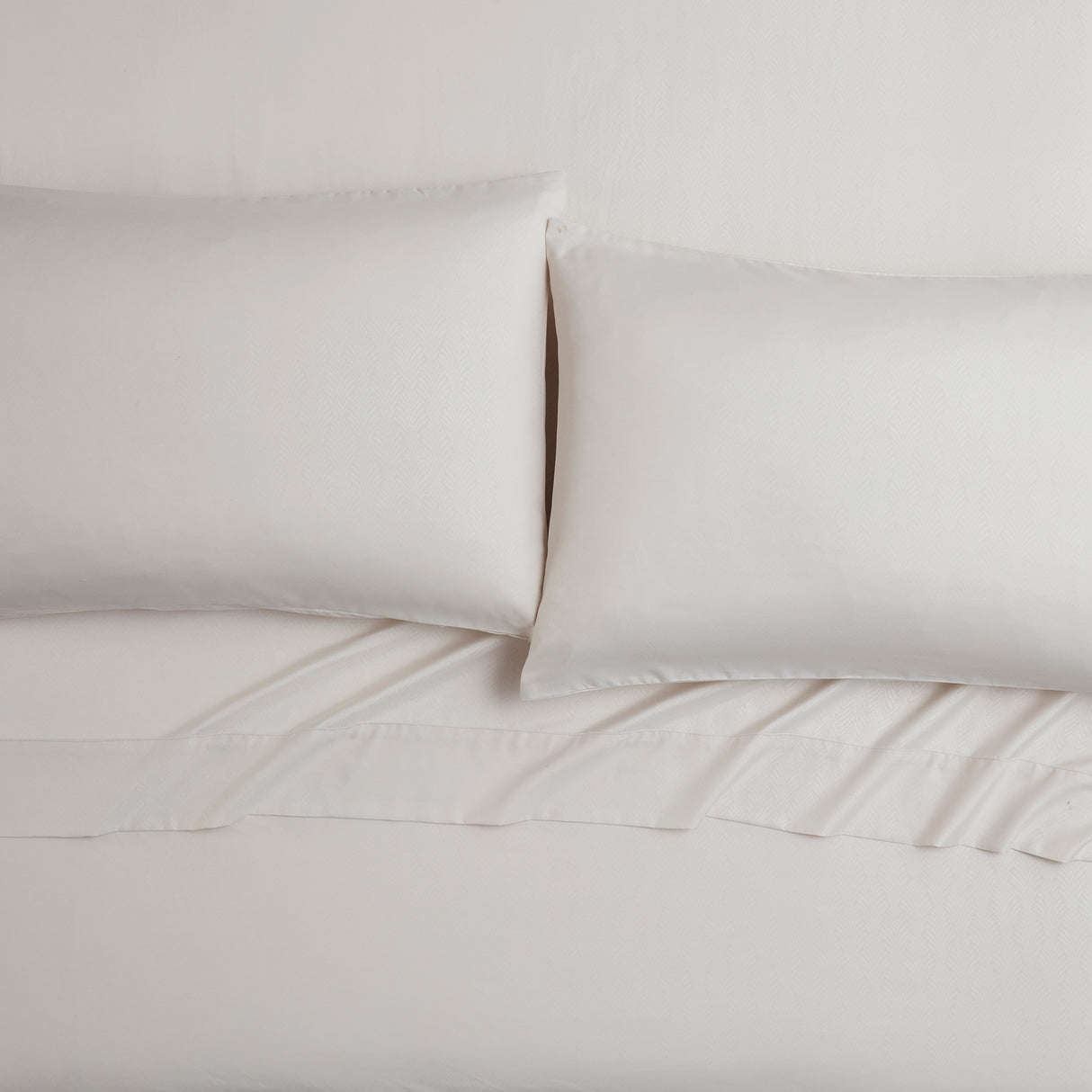 Tahari Home Vines Birch 6-Piece Embossed Microfiber Bed Sheet Set