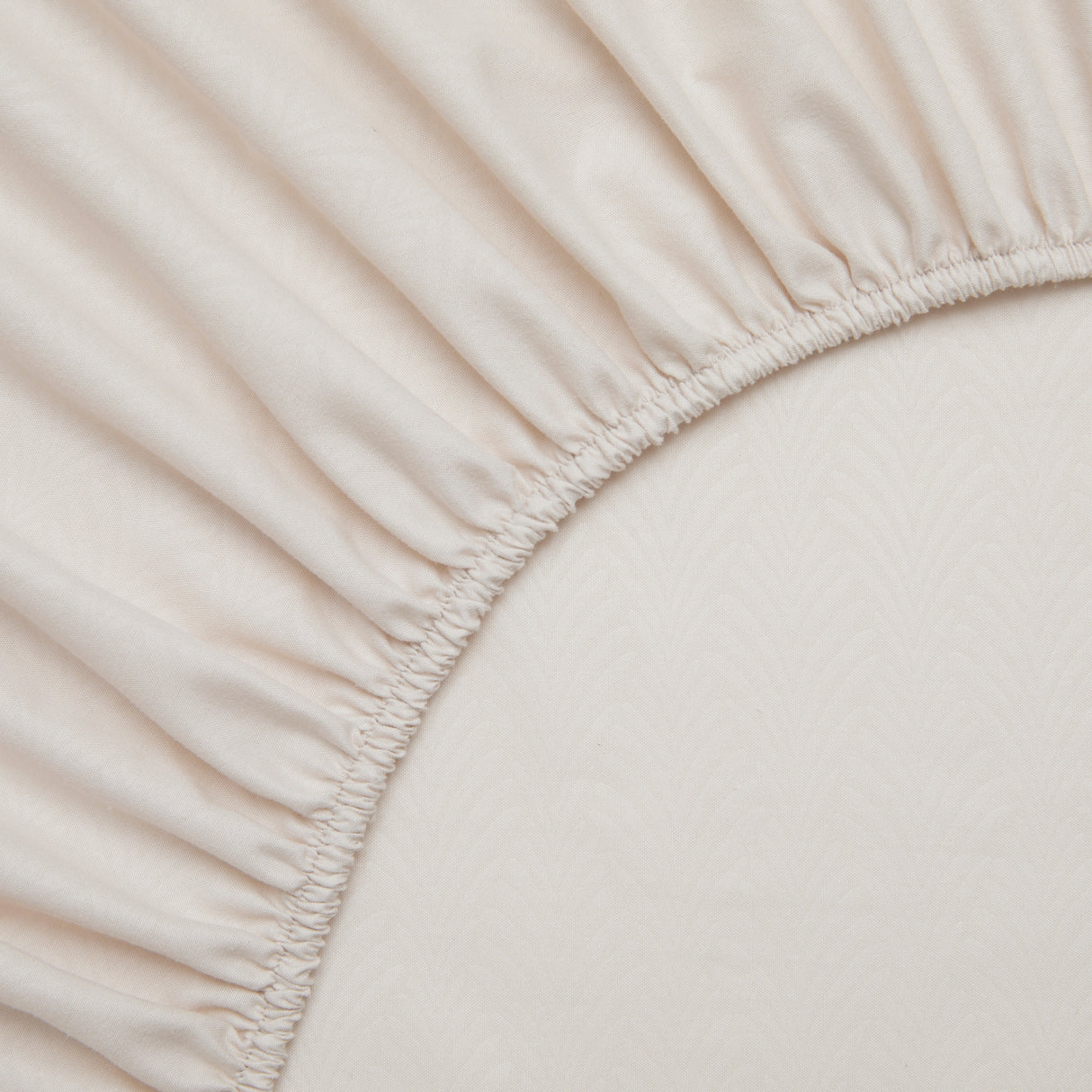 Tahari Home Vines Birch 6-Piece Embossed Microfiber Bed Sheet Set