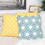 Tara Cotton 20" Square Decorative Throw Pillow