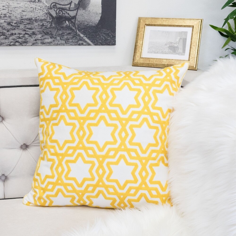 Tara Cotton 20" Square Decorative Throw Pillow