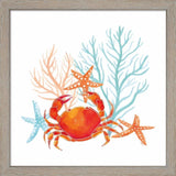 Tara Reed 'Coral Aqua B' Framed Art (Set of 2)