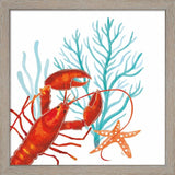 Tara Reed 'Coral Aqua B' Framed Art (Set of 2)