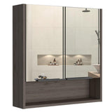 Tatacoa 25-inch Tall Double Door Mirror Cabinet with Open Shelf, and 3 Interior Shelves