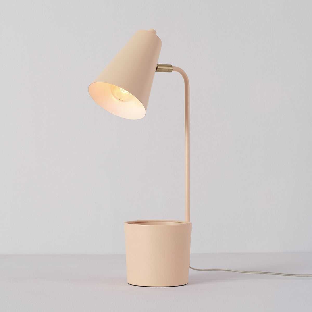 Taylor 18" Matte Pink Organizer Desk Lamp with Brass Pivot Joint - one size