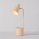 Taylor 18" Matte Pink Organizer Desk Lamp with Brass Pivot Joint - one size