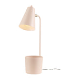 Taylor 18" Matte Pink Organizer Desk Lamp with Brass Pivot Joint - one size