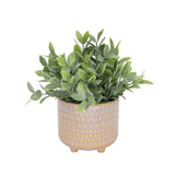 Tea Leaf in 5" MAUVE PHARAOH footed pot - ONE-SIZE
